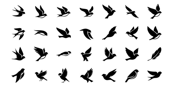 Collection of birds in various flight poses and silhouettes against a clean background