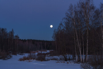 moon over the forest © talavietis