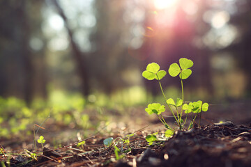 Fresh green sprout growing in the spring