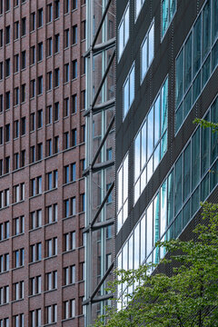 Urban corporate office architecture building facade with brick and glass window elements framed by tree greenery for modern business district exterior