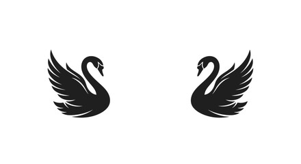 Two elegant swans with outstretched wings a striking black silhouette © MDHOJAIFA