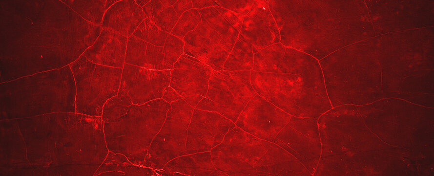 Bright cortical neurons immunostained with red fluorescent protein. Suitable for neuroscience research, scientific presentations, medical publications, and educational materials.