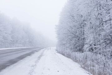 Empty Road Through Frozen Winter Forest