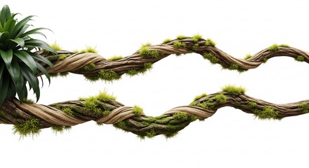 Naklejka premium Twisted tree branches with vibrant green moss and leaves