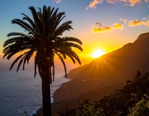 Sunset Serenity - Palm Tree Silhouette Against Coastal Mountain Backdrop.