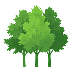 Three lush green trees isolated