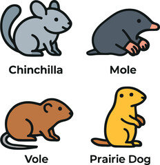 Obraz premium Minimalist Burrowing Animal Vector Icon Set Flat Line Art Chinchilla and Mole Pictograms.