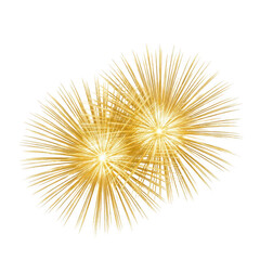 Obraz premium Golden fireworks explosion isolated on transparent background