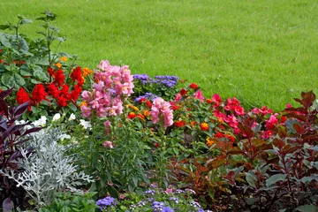 Beautiful background with bright flowers in a flower beds . © kuzina1964