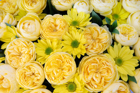 ellow peonies and Gerbera daisies, bouquet background. Flowers.
