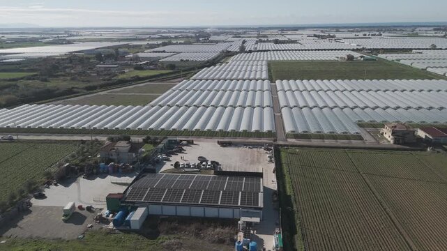 drone, vista su coltivazione in serra, piante e insalata. campania, italia