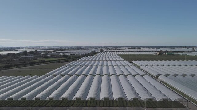drone, vista su coltivazione in serra, piante e insalata. campania, italia