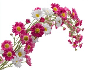 Pink And White Flowers Arrangement