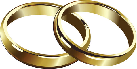 a pair of gold wedding rings