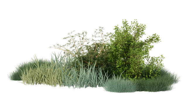 Lush green grass and shrubbery landscape isolated on transparent background