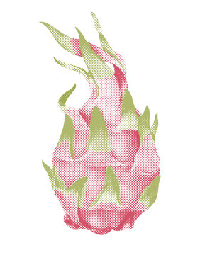Halftone fresh dragonfruit design element