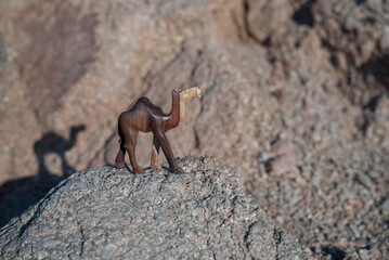 Rzeźba wielbłąda na tle skał i błękitnego nieba – pustynny krajobraz w słoneczny dzień © siwyk