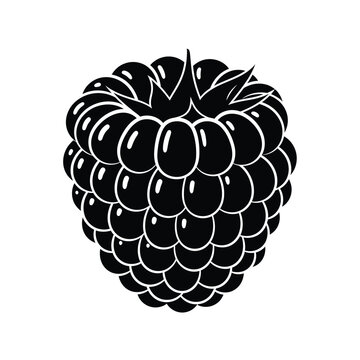 Black Silhouette of a Raspberry with Stem and Leaves isolated on a white Background