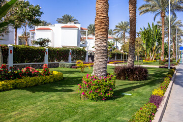 Lush Green Garden with Palm Trees and White Buildings on a Sunny Day