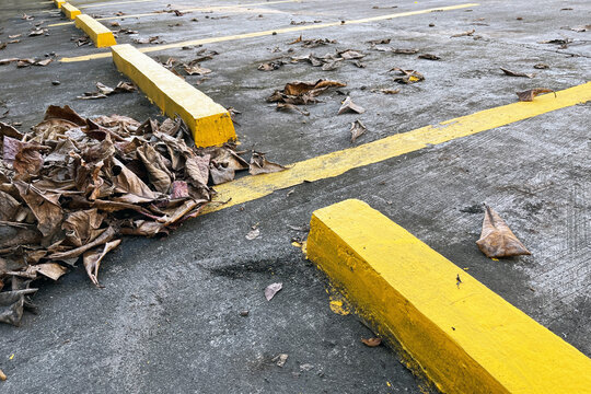 yellow parking lot with scattered dry autumn leaves and yellow wheel stops on wet gray asphalt