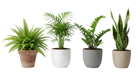 Fototapeta premium Collection of various potted plants isolated on transparent background