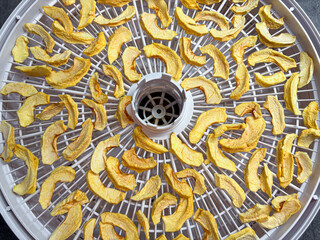 Top view of dehydrator with dried apple slices