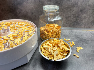 Drying apple slices in dehydrator at home kitchen