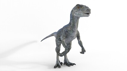 Fototapeta premium raptor dinosaur on white background