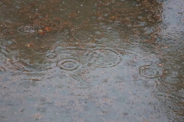 Raindrops Falling on Dark Water Surface During Rainstorm: Top View of Water Ripples and Splashes 