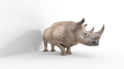 rhino on white background © Masihullah