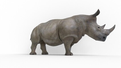rhino on white background © Masihullah