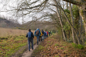 Obraz premium Groupe de randonneurs seniors sur un sentier de Bretagne - France