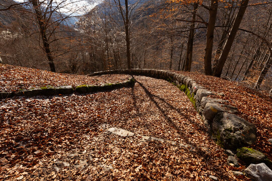 Old Carnic Alps trail