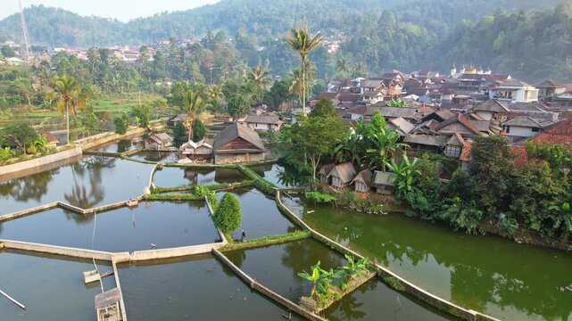 Aerial drone footage of Cisitu village, in Lebak regency, Banten, Java, Indonesia, with houses, fish farms and wooden rice barns, with mountains and rice fields in the background, at sunrise
