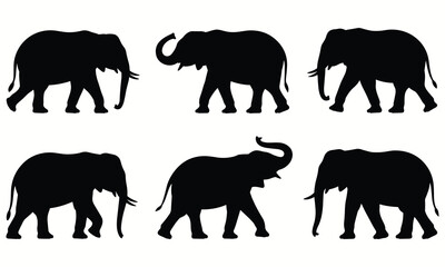 Obraz premium Collection of six different elephant silhouettes showcasing various postures and trunk positions on a white background highlighting their unique characteristics in a visually appealing manner for desi
