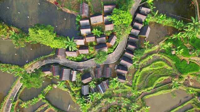Aerial close up drone footage from above, of traditional rice wooden and thatched barns, terrace rice fields, fish farming ponds, a rocky road, in Situmulya village, Lebak regency, Banten, Indonesia