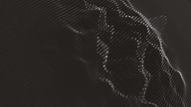 Digital Mesh Technology Looping Background
Abstract background of a black and white digital mesh with fractal surface waving