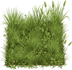 Realistic grass Dense green grass and natural ground vegetation forming a fresh, wild meadow texture on a white background. vector art with white background © MdShawon