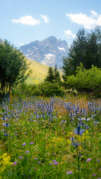 Mountain river flowing through alpine landscape