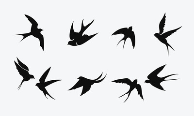 Obraz premium Flying Swallows Silhouette Set White Black Vector