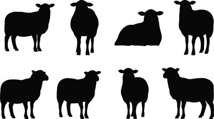 Collection of Black Sheep Silhouettes © Shuvro229
