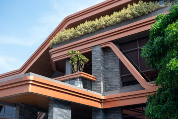 Scandinavian Decor style Plant Green Leaf.Fiddle Leaf Fig Tree