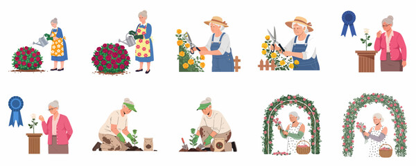 Fototapeta premium Senior Woman Rose Gardening Activities Set: Watering, Pruning, Planting, and Winning a Prize at a Flower Show Competition.