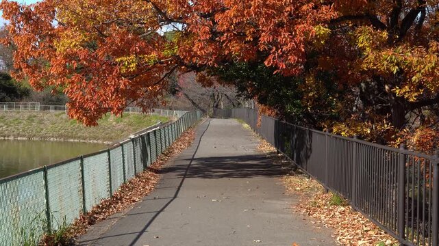A Parkside Walking Path in Japan