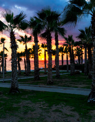 Coast of Perivolia beach in Cyprus at sunset.