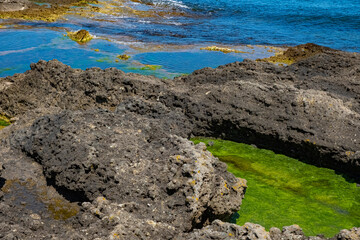 Rocky coastal landscape with natural tide pool filled with green algae and clear seawater. Showing rugged shoreline textures, marine environment, erosion and untouched nature concept.