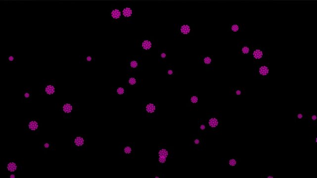 Abstract Purple Falling Flowers Animation, Floating Floral Clusters Background, Magic Fantasy Blossom Particles, Romantic Spring Garden Bloom Loop, Hydrangea Petals Motion
