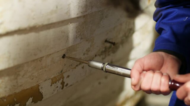 Unscrewing slotted bronze wood screw from fiberglass boat hull