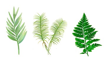 Green Botanical Leaves Isolated Set Hand Drawn Nature Illustration