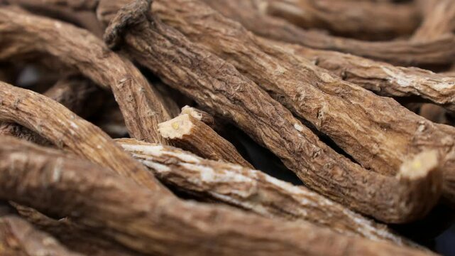 Brown dried dandelion root circle rotation close up